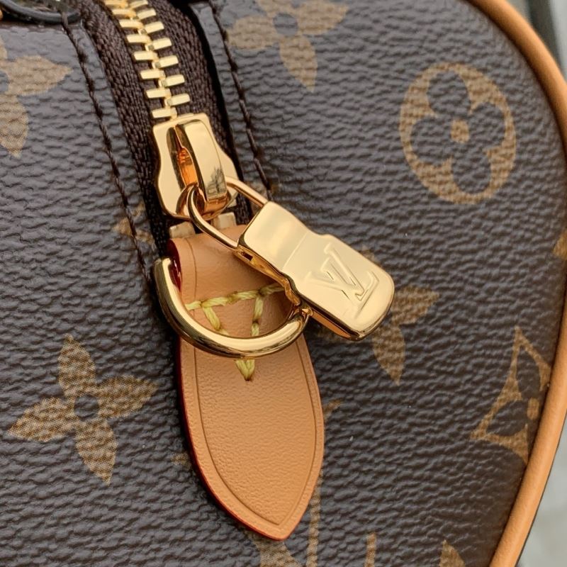 LV Speedy Bags